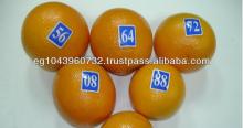 Fresh Valencia orange