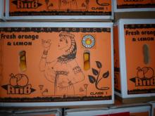 fresh navel orange for sale