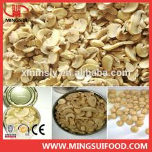New season wholesale canned mushroom