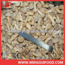 China frozen pholiota nameko