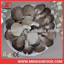China frozen oyster mushroom