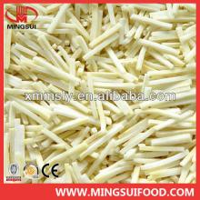 China IQF bamboo shoot strip