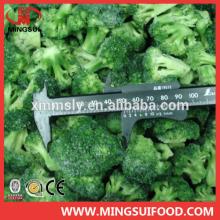Hot sell frozen broccoli 3-5cm