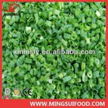 China frozen spring onion dice