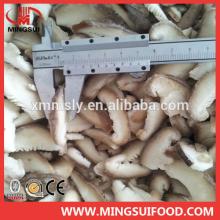 2014 corp frozen shiitake mushrooms