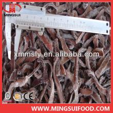 2014 new frozen black fungus strip