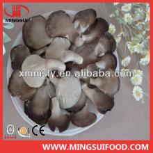 Good quality frozen oyster mushroom