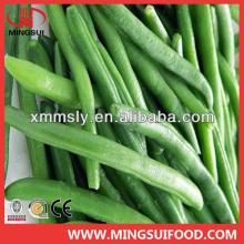 High quality frozen green bean  strip 