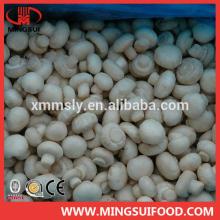 2014 corp frozen champignon mushroom