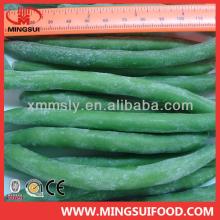 Wholesale iqf green beans whole