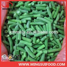 High quality new corp frozen green bean  price 