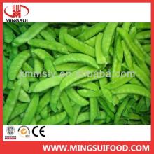Wholesale high quality frozen snow pea pods