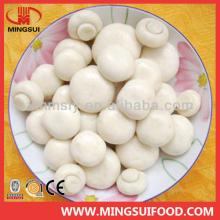 High quality Chinese fresh IQF frozen champignon mushroom