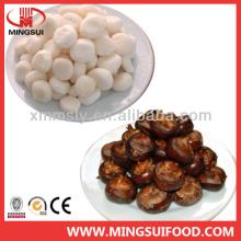 Peel iqf water chestnuts
