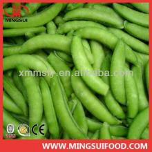Supply bulk iqf sugar snap pea