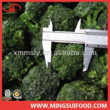 New crop  frozen   green   broccoli 