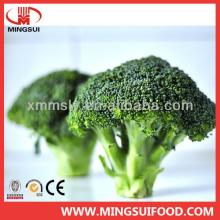 New crop frozen Chinese broccoli
