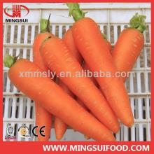 Chinese new crop frozen carrot
