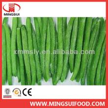 Chinese bulk frozen whole green beans