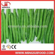 Hot sale frozen  wholesale   green   beans 