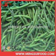 Wholesale new season frozen green bean