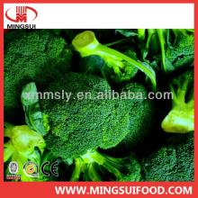 Wholesale new frozen broccoli spear