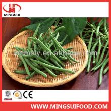 Chinese non gmo green beans specifications