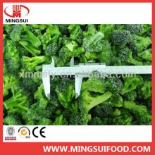 Chinese wholesale new iqf frozen broccoli