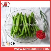 Wholesale food specification frozen green beans