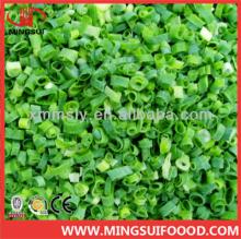Chinese Fresh New Crop  iqf   Spring   Onions 
