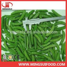 Supply high quality new season iqf sweet peas