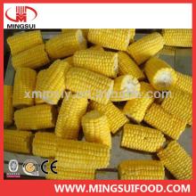 Chinese bulk high quality IQF yellow sweet corn