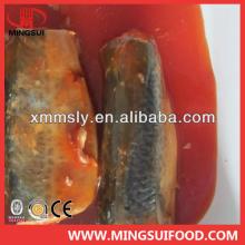 Canned Mackerel Fish In Tomato Sauce/Import Canned Mackerel