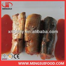 425G N.W High Quality Competitive Price  Canned   Mackerel / Canned   Fish  In Tomato Sauce