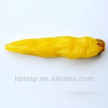pickled hot chilli  pepper 