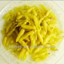 factory supplying pickled hot chilli pepper