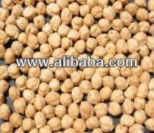kabuli chickpeas