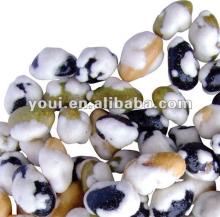 Wasabi bean mix