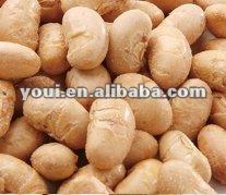 Salt and roasted soy beans
