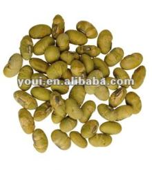 Healthy foods roasted soybean snack