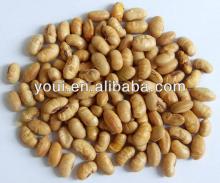  Bulk   Soy   Beans 
