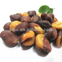 HACCP certified Salted Fava Bean