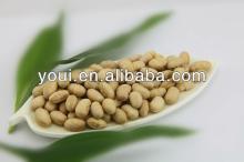 BRC Salted Roasted Soy Beans