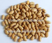 Salted roasted soy beans, low fat