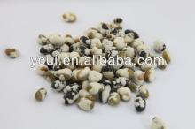Mixed beans wasabi flavor snacks