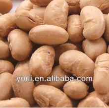 Salted flavor and roasted Soy Beans