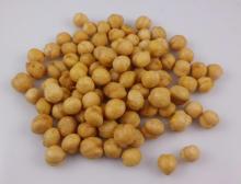 FDA Certificate 2014 Hot Sell Garlic flavor coasted roasted chickpeas with 9mm