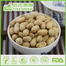 Nutritious/Yummy/Savory/crisp/unique flavor roasted bean Snack Food