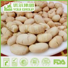 Salted Roasted Yellow Bean, dry soya beans