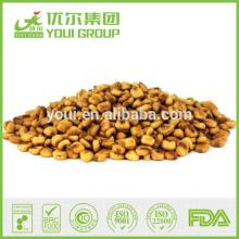Flavored Corn Nuts, fried corn snacks